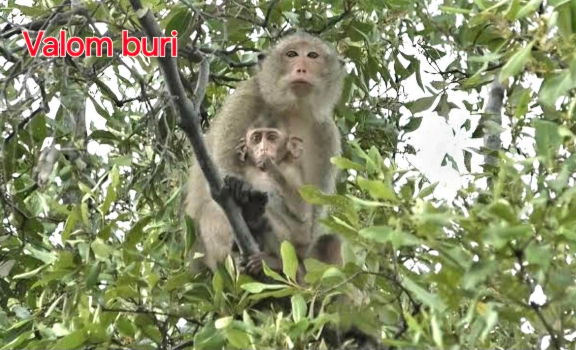 Lanta Valom Buri Villa Ko Lanta Exteriör bild
